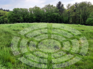 Le parlement est dans le pré