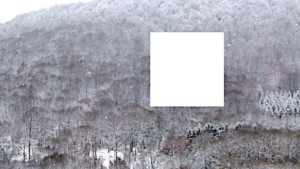 "Coupe à blanc", photo © MAB