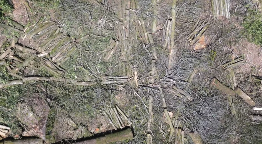 vue aérienne d'une coupe rase.