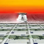 Détail de la couverture du rapport de Pollinis, Terre Solidaire, Basic : "Pesticides, un modèle qui nous est cher"