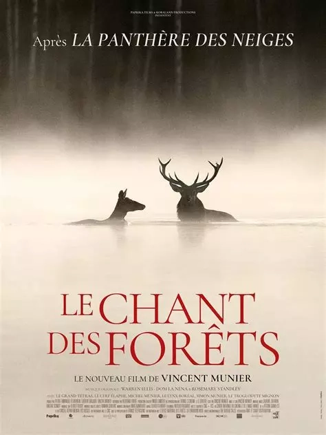 Ciné-débat : Le chant des forêts