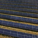 Rangées de panneaux photovoltaïques dans un champ