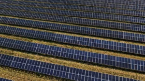 Rangées de panneaux photovoltaïques dans un champ