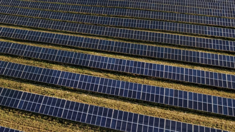 Rangées de panneaux photovoltaïques dans un champ