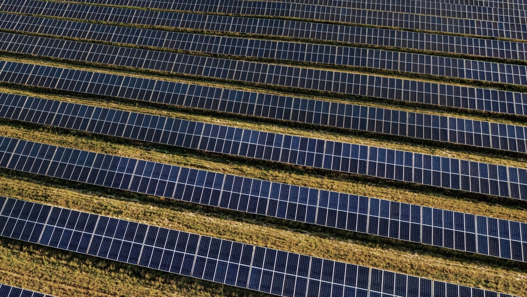 Rangées de panneaux photovoltaïques dans un champ