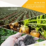 Salon Semeurs de bio