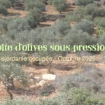 Soirée Palestine avec la projection du film "Récolte d'olives sous pression"